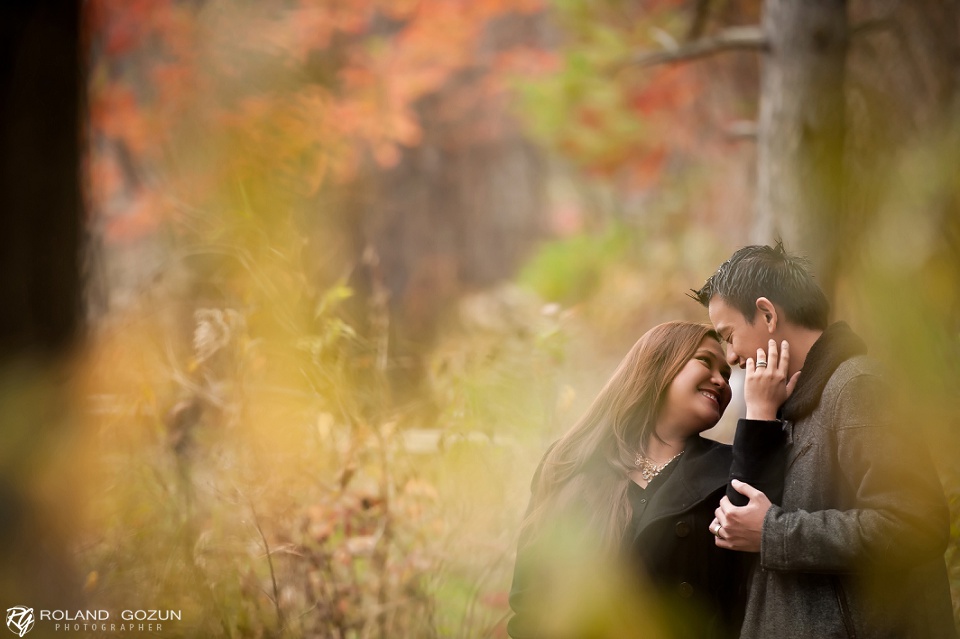 Aer + Yong | Chicago Engagement Photographers