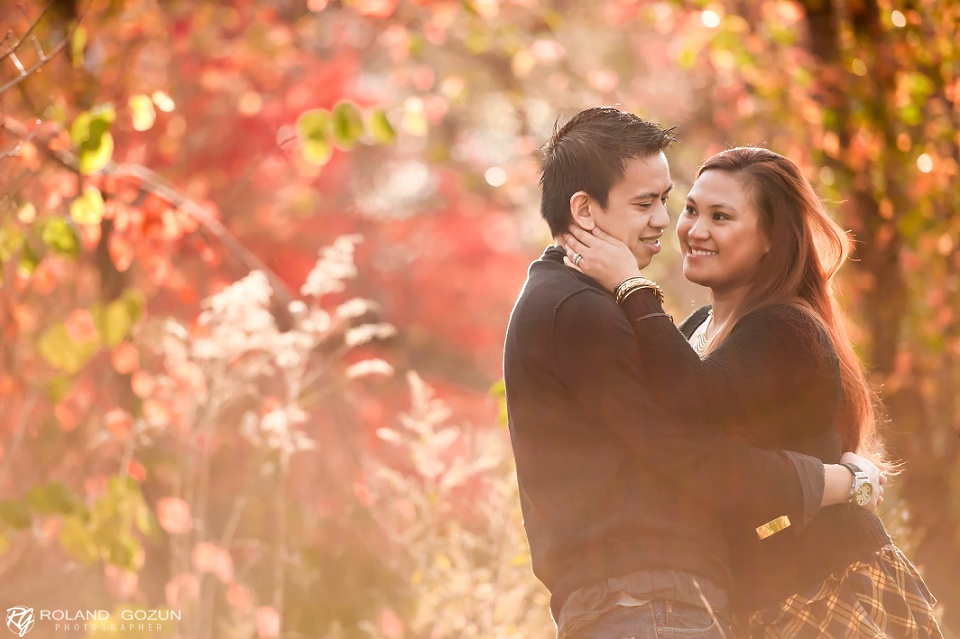 Aer + Yong | Chicago Engagement Photographers