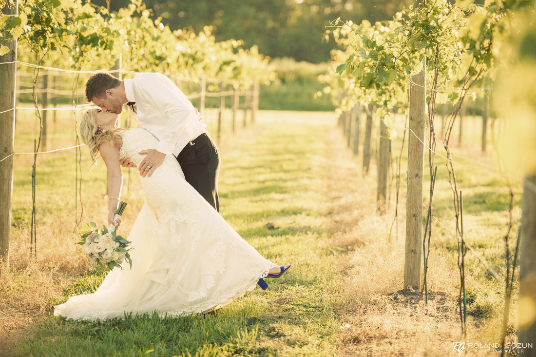 DC Estate Winery Wedding